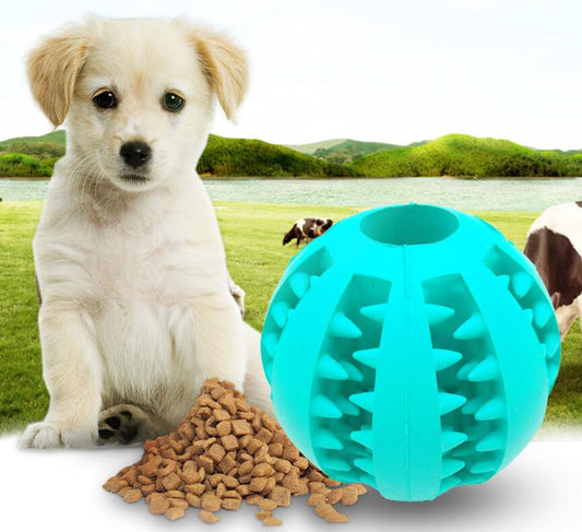 Pet Slow Feeder Ball Toy