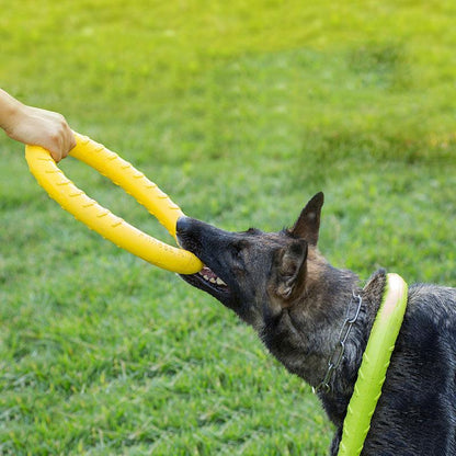 Pet Flying Discs Toy